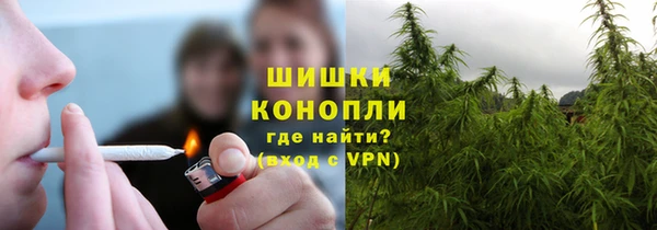 крисы Вяземский