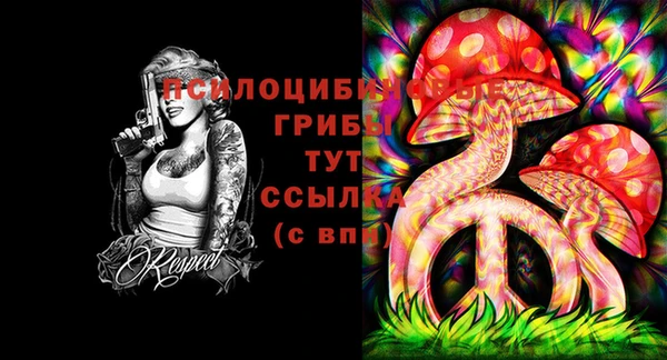 spice Бугульма